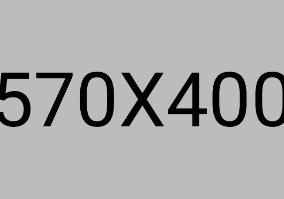 The Professional Theft